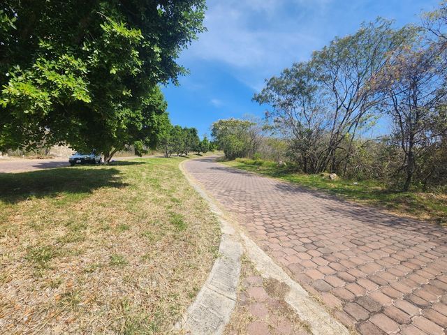place photo 16