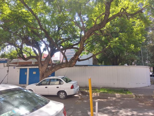 place photo 13