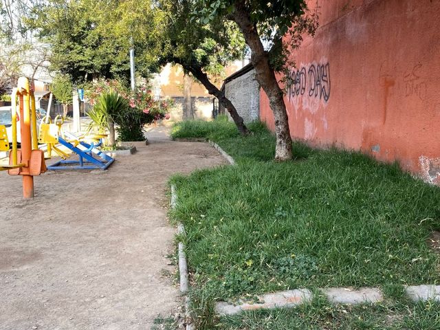 place photo 37
