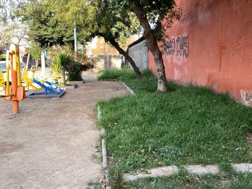 place photo 37