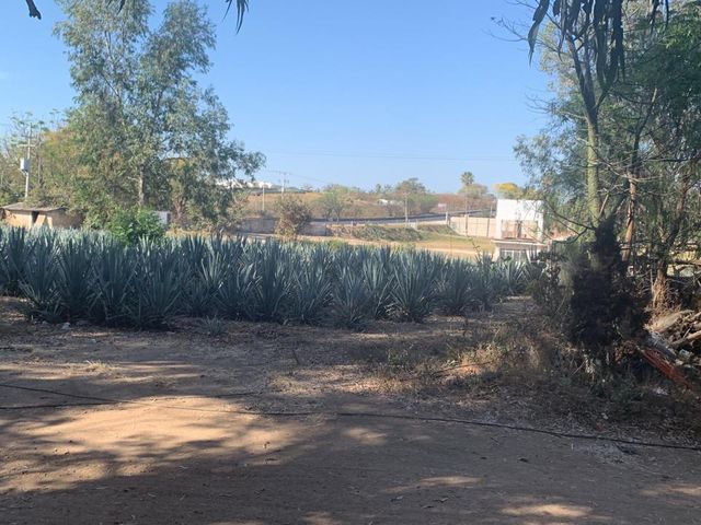 place photo 21
