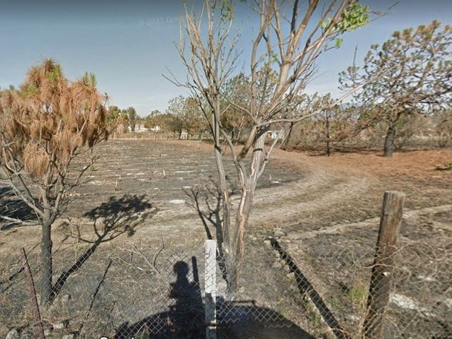 place photo 10