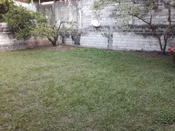 place photo 27