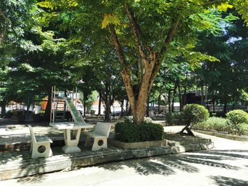 place photo 27