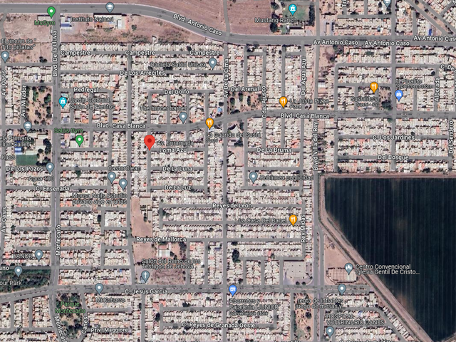 place photo 4