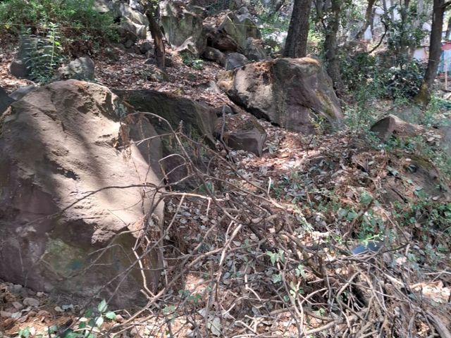 place photo 15