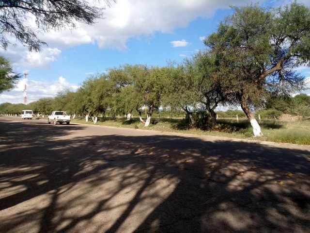 place photo 17