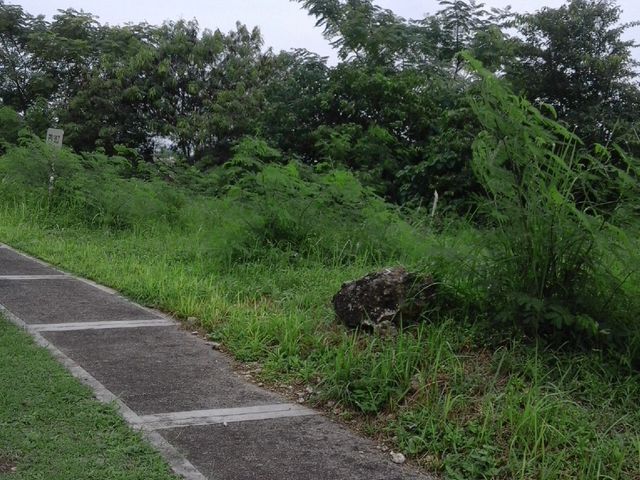 place photo 28