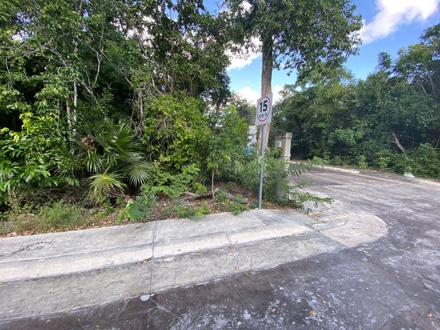 place photo 27
