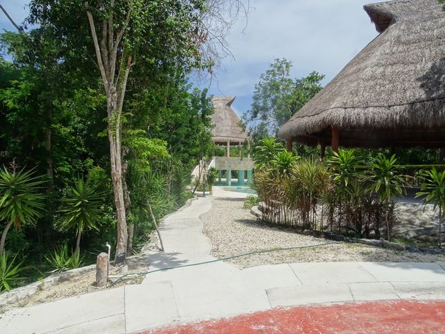 place photo 34