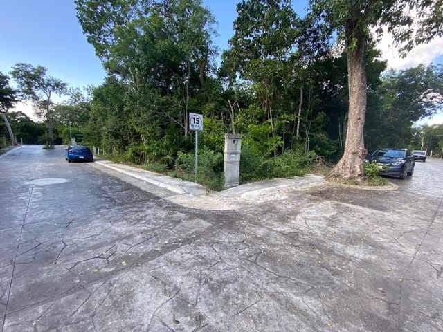place photo 22