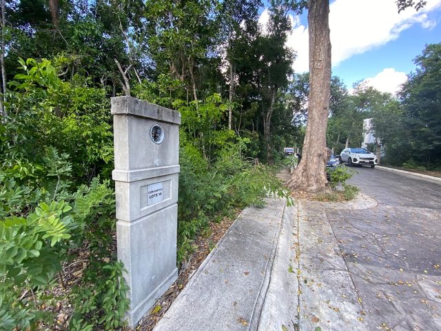 place photo 28