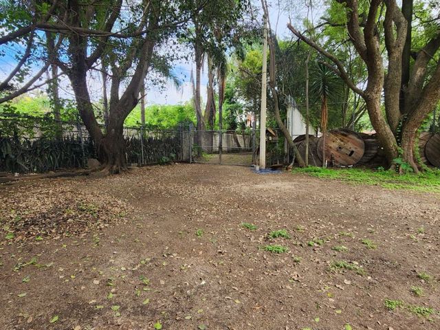 place photo 47