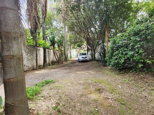 place photo 49