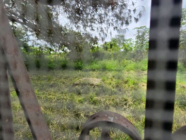 place photo 59