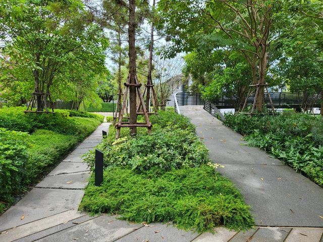 place photo 52