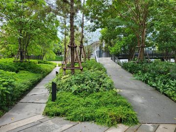 place photo 52