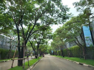 place photo 51