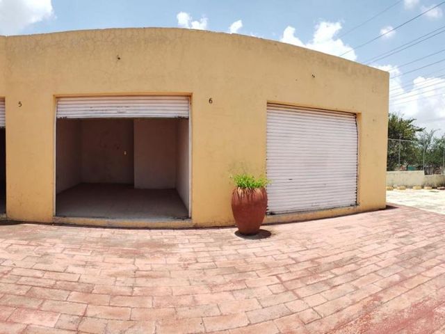 place photo 11