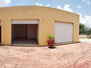 place photo 11