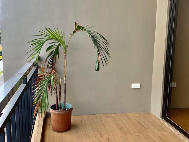 place photo 37