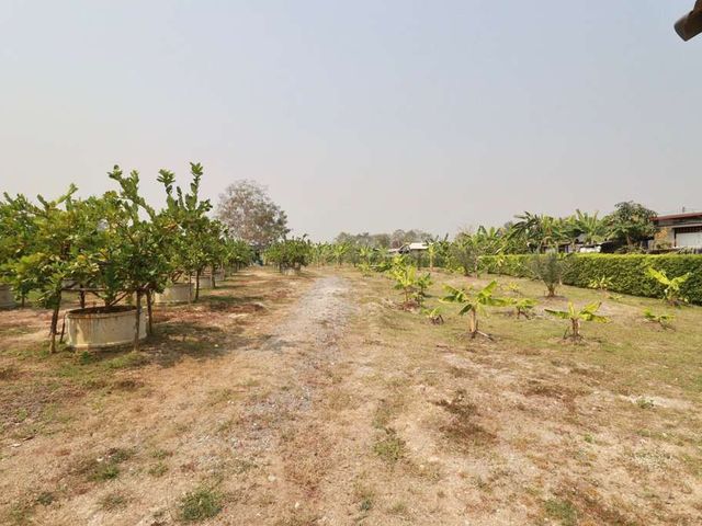 place photo 57