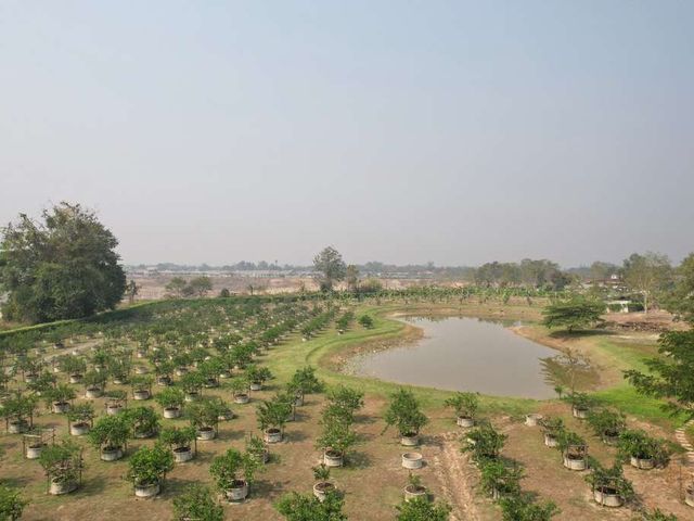 place photo 60
