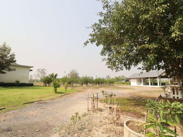 place photo 47