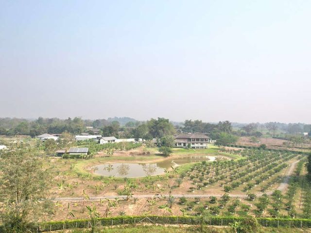 place photo 65