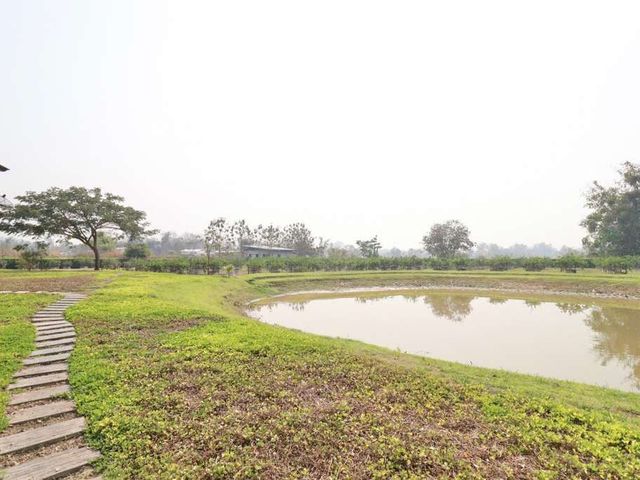 place photo 49