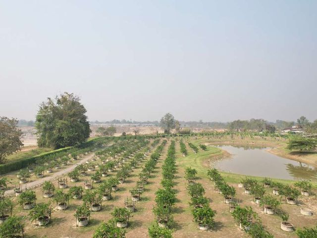 place photo 61