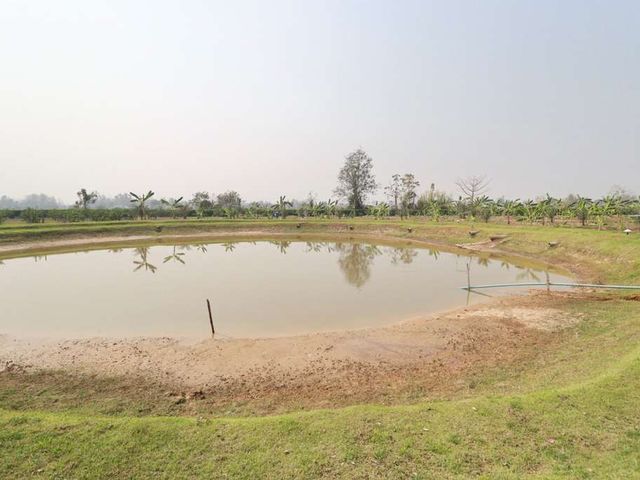 place photo 46