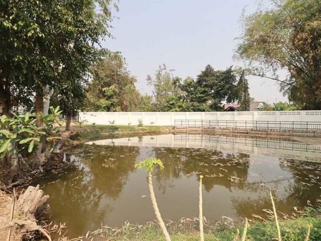 place photo 58