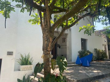 place photo 39