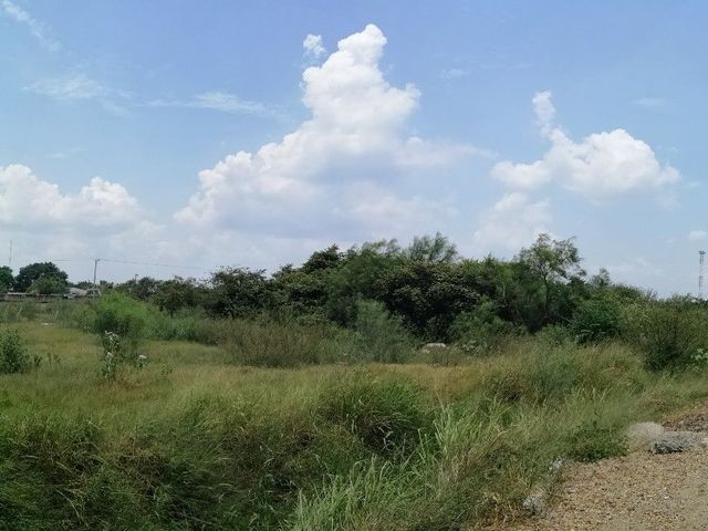 place photo 17