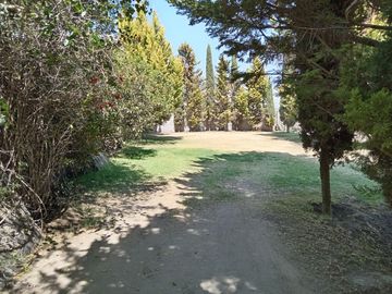 place photo 63