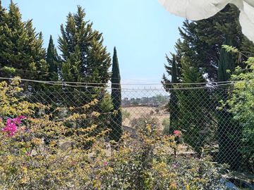 place photo 47