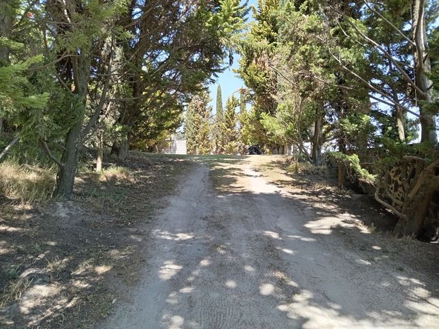 place photo 65