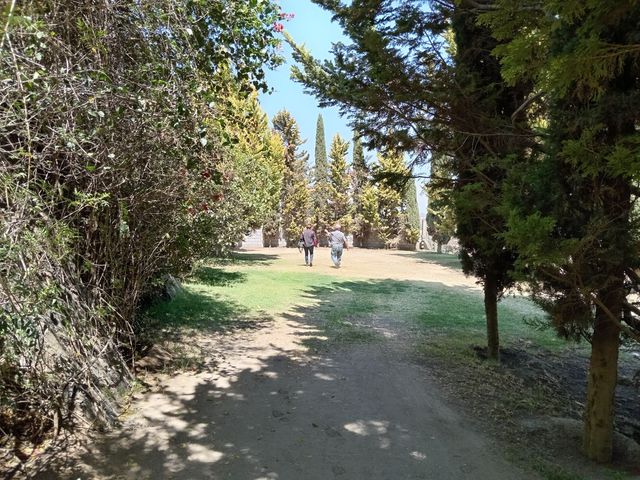 place photo 61