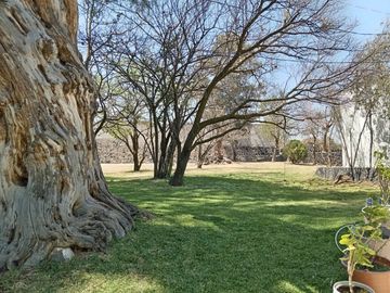 place photo 53
