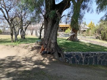 place photo 59