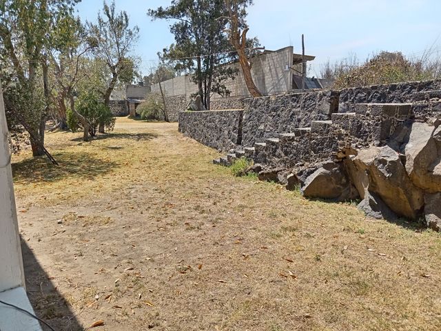 place photo 49
