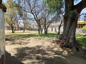 place photo 58