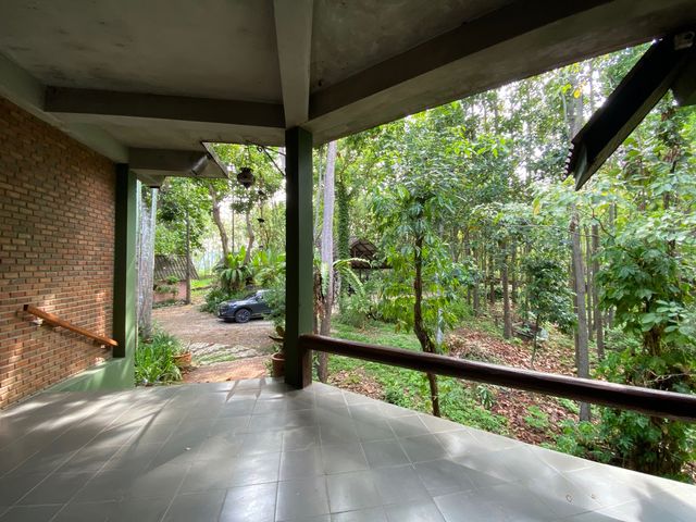 place photo 67