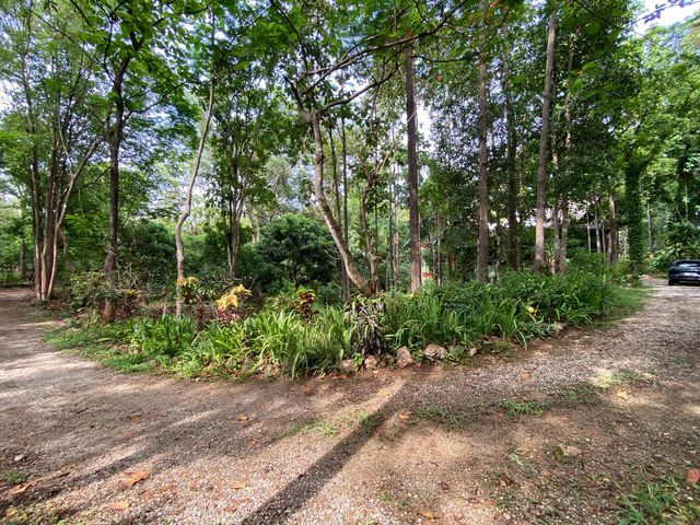 place photo 72