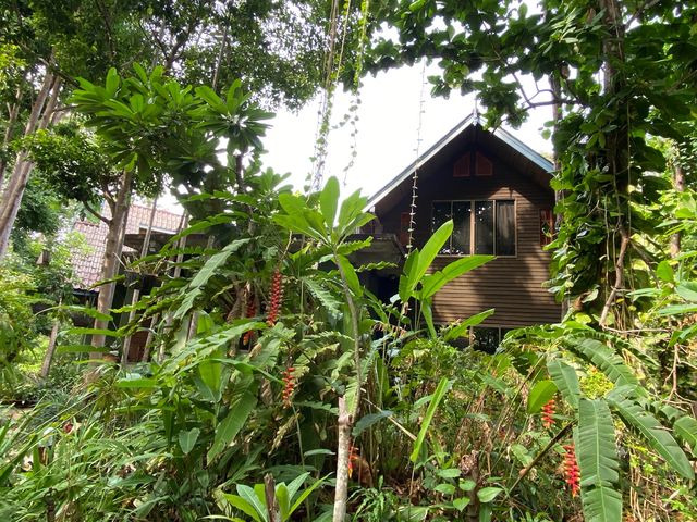 place photo 71