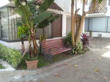 place photo 45