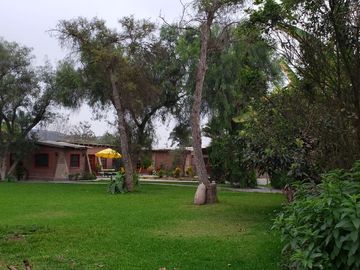 place photo 41