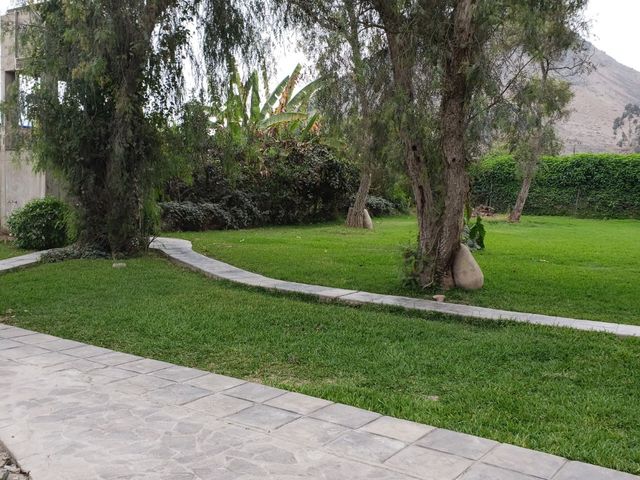 place photo 47