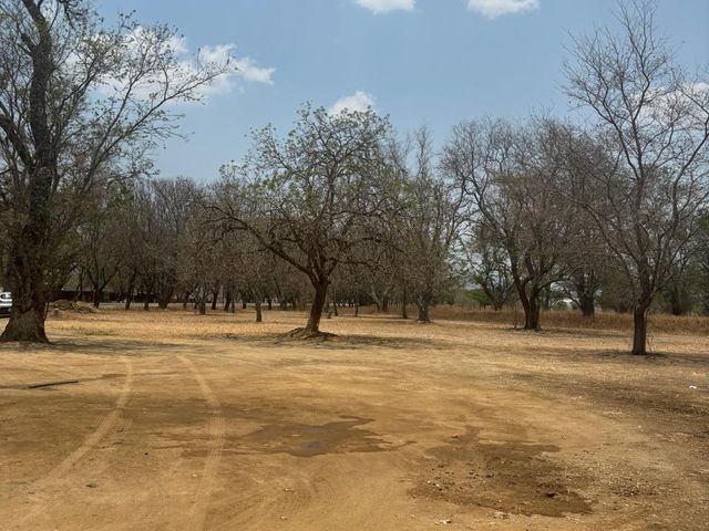 place photo 25